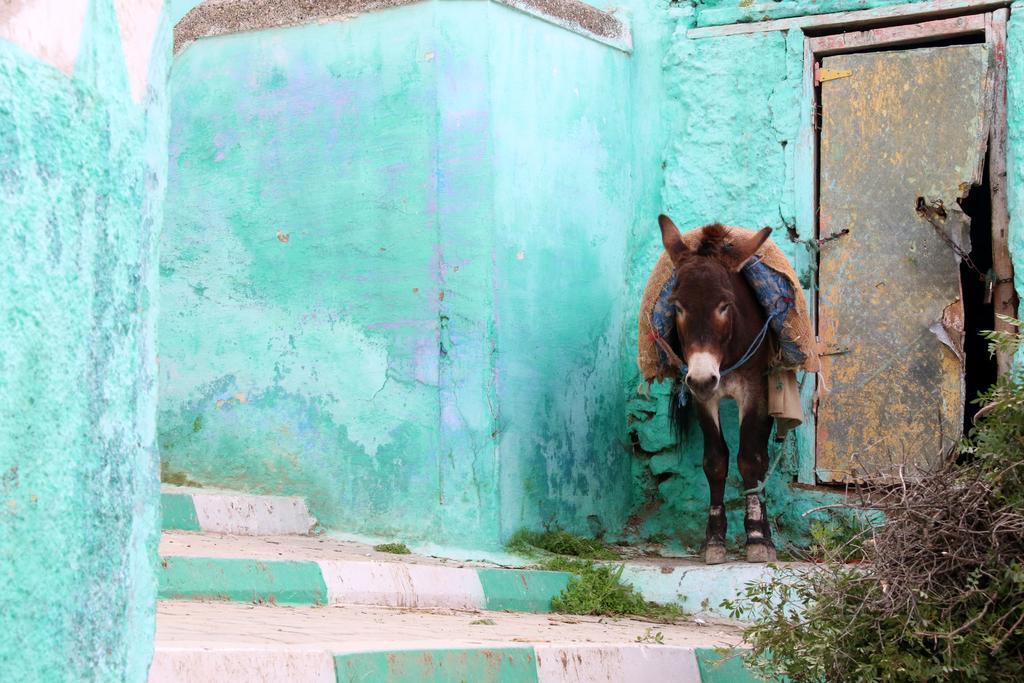 Dar Zerhoune Moulay Idriss Exterior foto